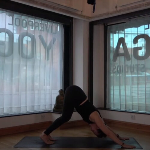 Intro to vinyasa 1