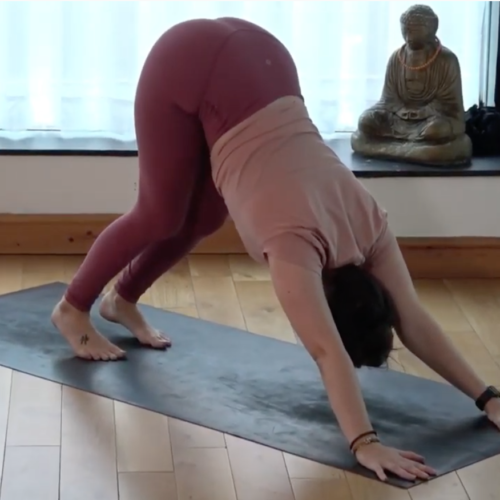 ashtangaexpress