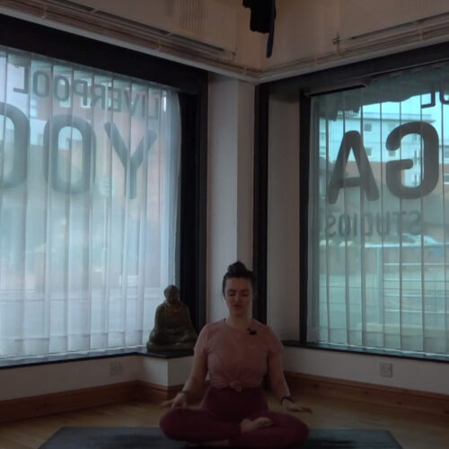 introduction to vinyasa 3